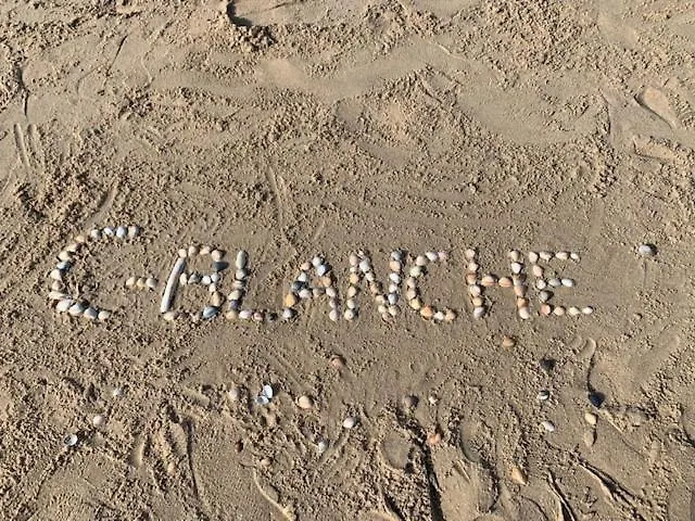 Appartement C-blanche